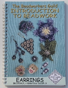 Image of The BWG Introduction to Earrings, Brooches, Fringes & Tassels